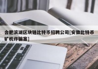 合肥滨湖区块链比特币招聘公司[安徽比特币矿机诈骗案]